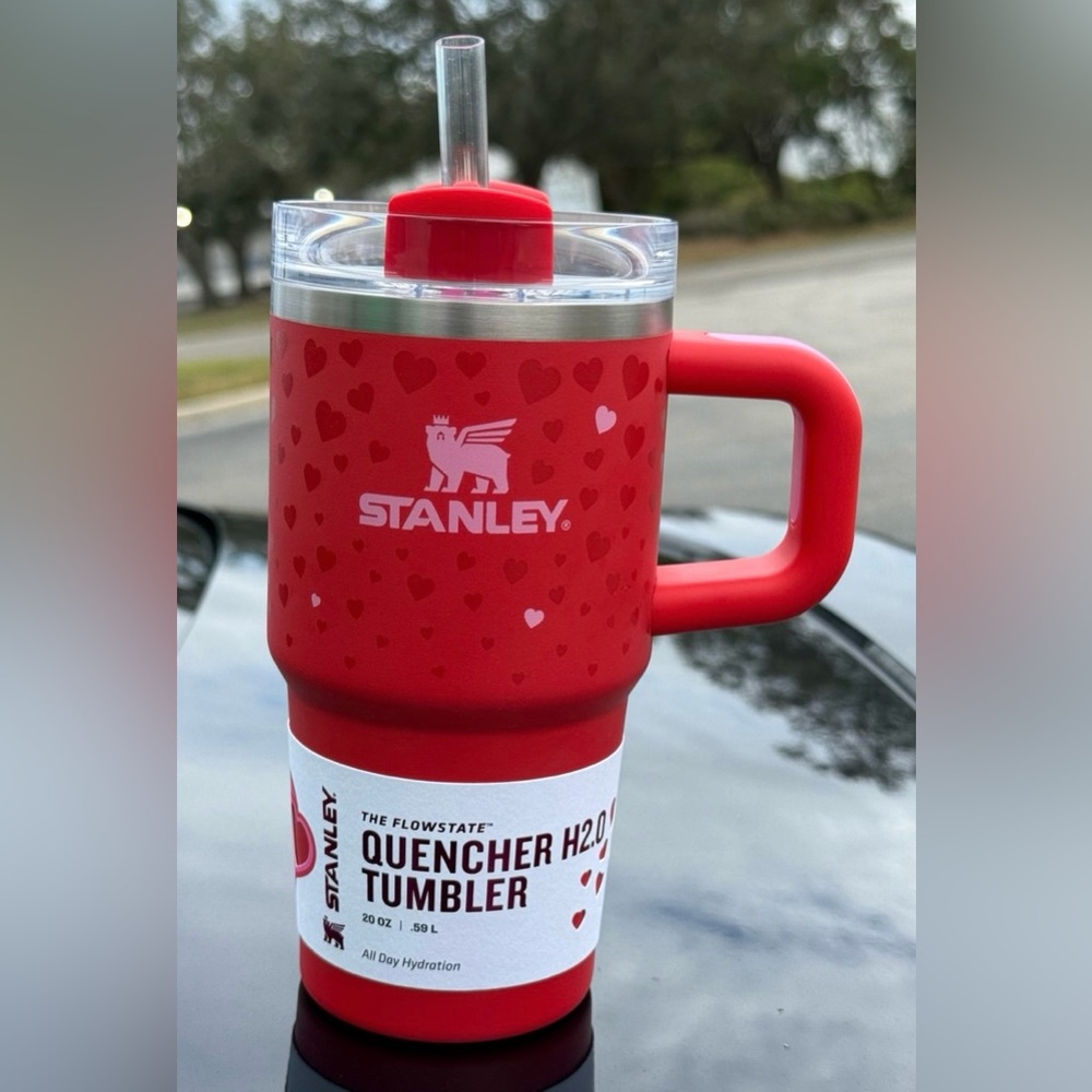 Stanley 20 oz ruby hearts